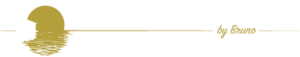 Logo Hossegor Travel