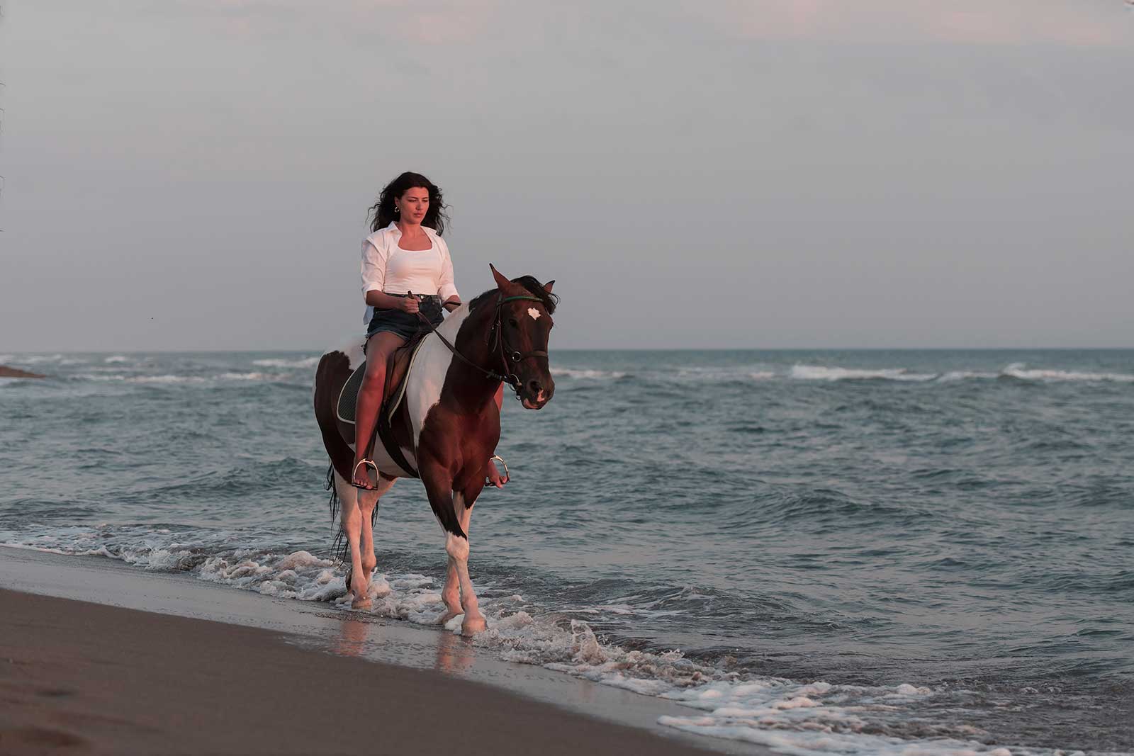cheval